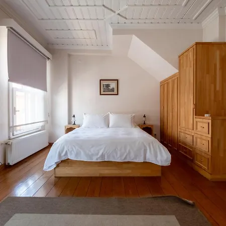 Sultanahmet House With Private Terrace & 3 Bathrooms Βίλα